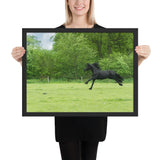 Tableaux Cheval Noir Courant
