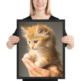 Tableau Chaton Pelage Blond et Brun