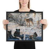 Tableau  Famille Lion Observant