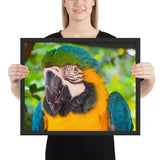 Tableau Jungle Perroquet Bleu et Jaune