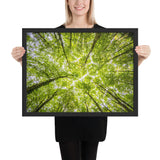 tableau arbre branche d'arbre déco