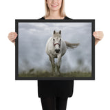 Tableau Cheval Blanc moderne