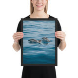 Tableau  Dauphin la Course