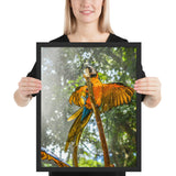 tableau oiseau sur branche Moderne