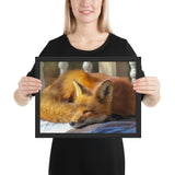 Tableau Enfant Renard au Soleil