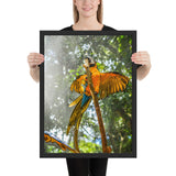 tableau oiseau coloré sur branche