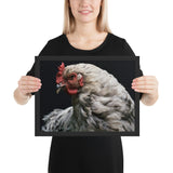 Tableau Animaux Poule Blanche