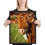 Tableau de Taureau Focus