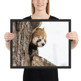 Tableau Panda Roux Moderne