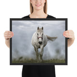 Tableau Cheval Blanc Design