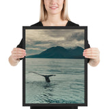 Tableau Déco Baleine