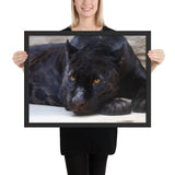 Tableau Panthère Noire sur le Ventre