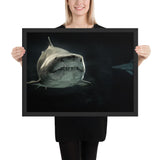 Tableau Requin Moderne