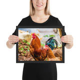 Tableau Coq à la ferme