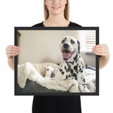 Tableau Dalmatien Gueule Ouverte