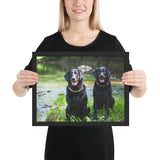 Tableau Labradors Noirs (Mignon)