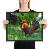 Tableau Coq à la Tête Rouge