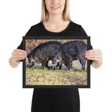 Tableau Animaux Sanglier en Famille