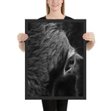 Tableau de Vache Moderne Noire (le Regard)