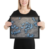 Tableau Animaux Tortue de Sable (Famille)