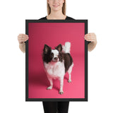 Tableau Chihuahua en Plein Shooting