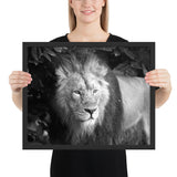 Tableau Lion Noir et Blanc Majestueux