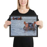 Tableau Hippopotame jouant dans L'Eau