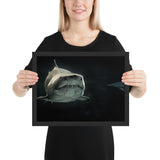 Tableau Requin Ocean