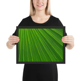 Tableau tropical feuille verte et lumineuse