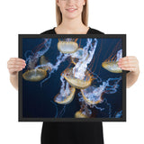 Tableau Méduse Splendide en famille