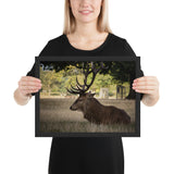 Tableau Rennes en Automne