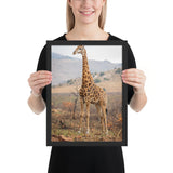 Tableau de Girafe Déco