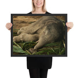 Tableau Eléphant Bébé