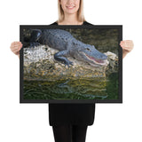 Tableau Crocodile Alligator Attaquant