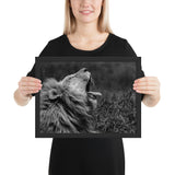 Tableau Lion Noir et Blanc Déco