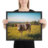 Tableau de Taureau Blanc et Marron