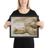 Tableau de Serpent Couleur Crême