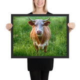 Tableau Vache Aubrac Blanche