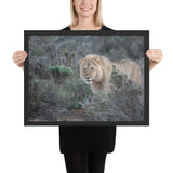 Tableau Lion dans l'Herbe