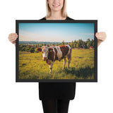 Tableau de Taureau Blanc