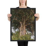 tableau design tropical jungle