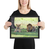 Tableau Animaux Lion et Lionne