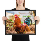 Tableau Coq et Poule