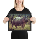Tableau Animaux Hippopotame