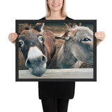 Tableau Ane Le Zoom du Photographe