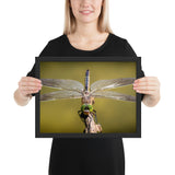 Tableau Insecte à la tête Verte