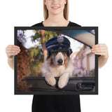 tableau avec chien habillé  rigolo