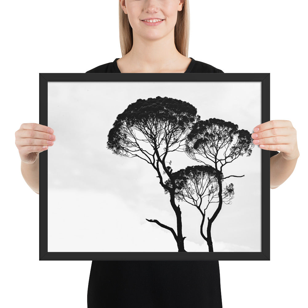 Tableau Arbre Noir et Blanc