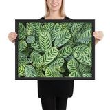 Tableau tropical verdoyant et lumineux