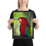 Tableau Animaux avec Perroquet